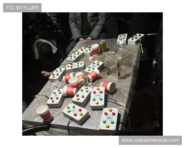 在三亚参与百家乐赌博有哪些注意事项，合法与非法的区分及维护自身权益的方法