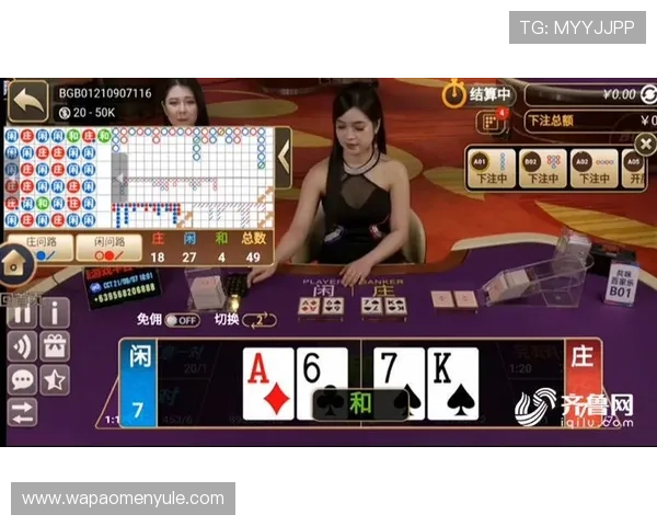 如何利用百家乐庄闲胜率数据优化你的投注计划实现长期盈利