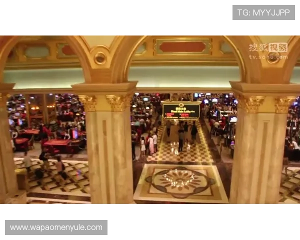 威尼斯真人赌场客户服务全方位解析在线支持、问题解决与专业建议一应俱全